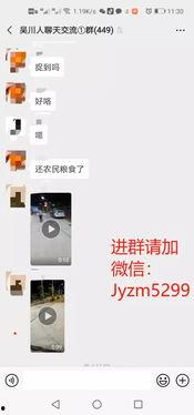 今日关注爆料后哪里查看,追踪事件进展，全面解读最新动态  第3张